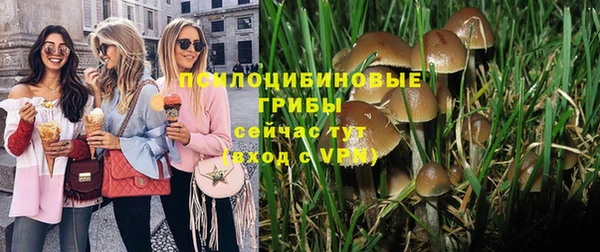 наркотики Алексин
