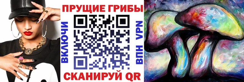 Псилоцибиновые грибы MAGIC MUSHROOMS Козловка